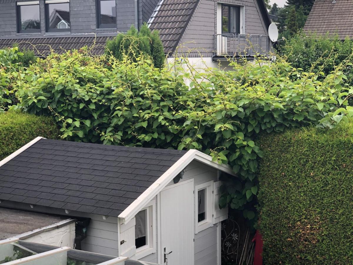 Apartamento Bel Art Etage Mit Grossem Parkplatz Haan Exterior foto